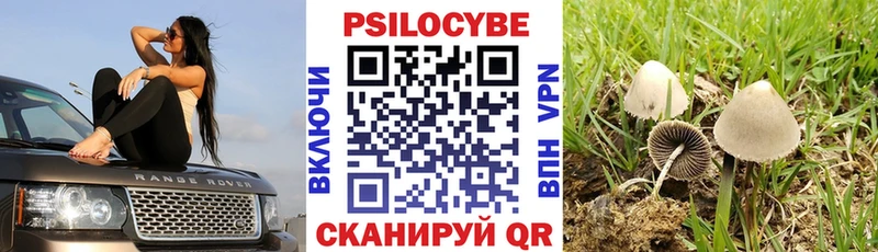 Псилоцибиновые грибы Magic Shrooms  Кемерово 